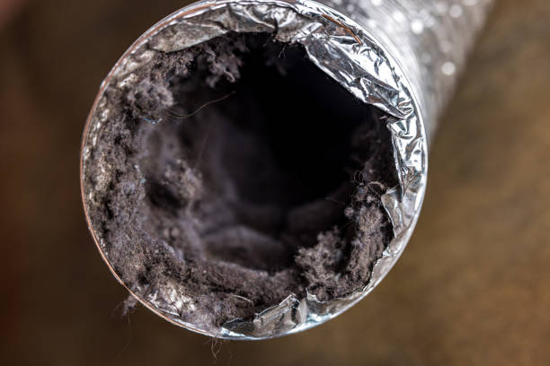 Best Dryer Vent Cleaning Services  in Golden Triangle, NJ